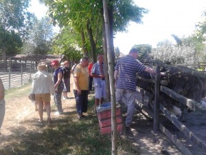 Gujas carda 2017 (2)